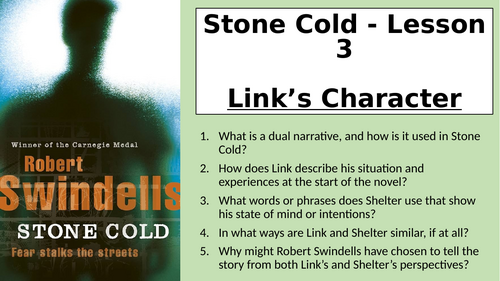 Stone Cold - Link's Character