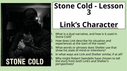 Stone Cold - Link's Character