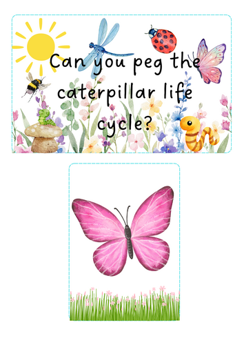 Minibeasts - Peg the Caterpillar Life