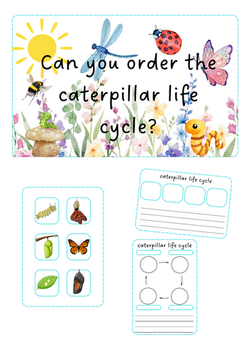 Minibeasts - Caterpillar life cycle