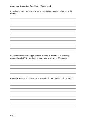 docx, 24.59 KB