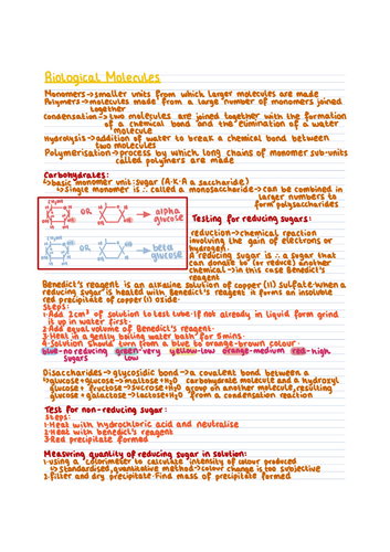 pdf, 11.26 MB