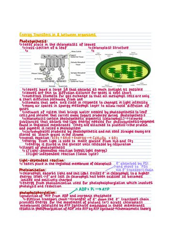 pdf, 18.41 MB