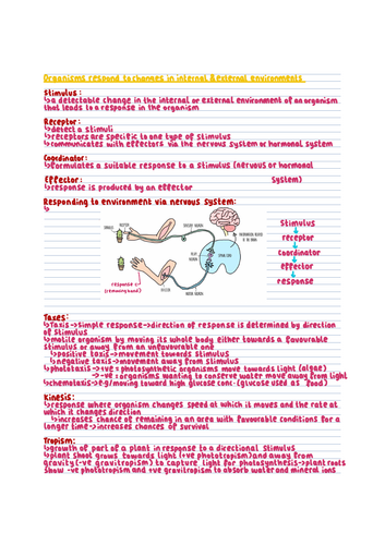 pdf, 19.31 MB