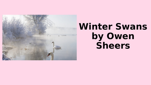 AQA Literature - Love & Relationships - Winter Swans | Teaching Resources