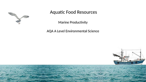 AQA A Level Environmental Science - Marine Productivity