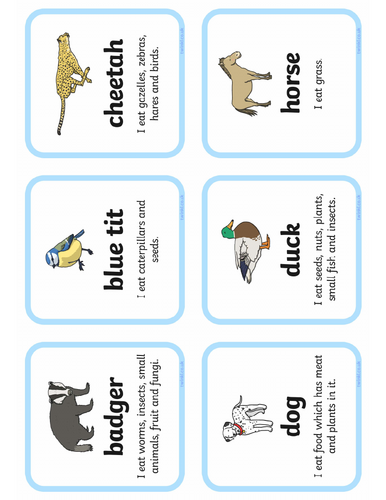 EYFS Outdoor Learning - The Tiger Who Came to Tea | Teaching Resources