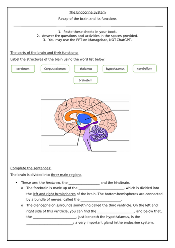 docx, 298.48 KB