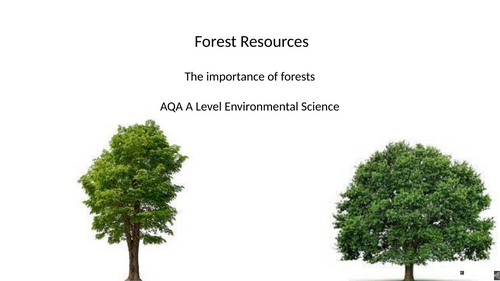 AQA A level Environmental Science - The importance of forests