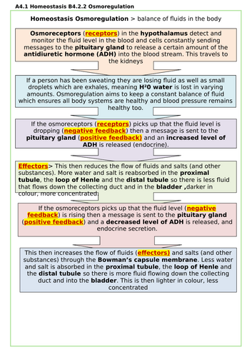 AAQ BTEC Health & Social Care Unit 2 Human Biology planning and intro ...