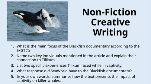 Non-Fiction - Creative Writing - Animal Attack