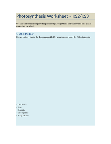 docx, 25.95 KB