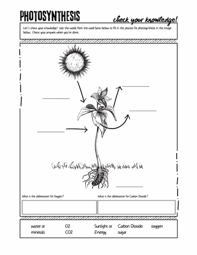 pdf, 24.85 MB