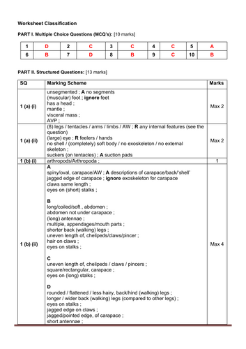 pdf, 155.04 KB