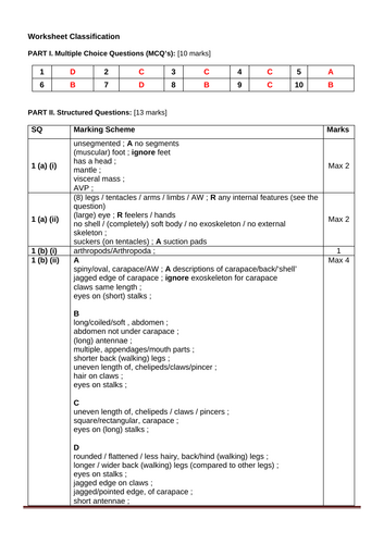 docx, 47.75 KB