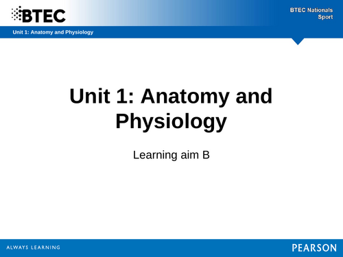ppt, 4.01 MB