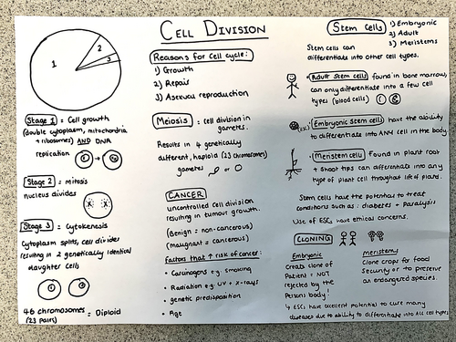 Cell Division poster GCSE Biology AQA | Teaching Resources