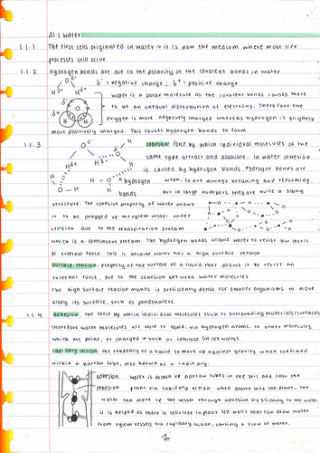 pdf, 2.95 MB