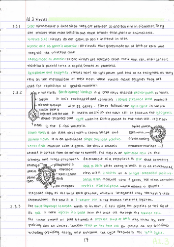 pdf, 2.06 MB