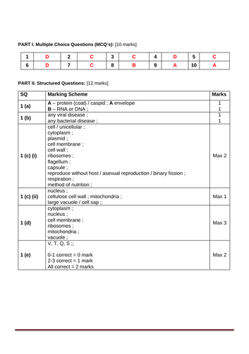docx, 27.22 KB