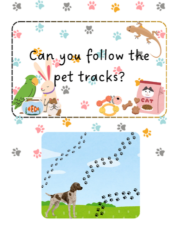 Pets - Animal tracks