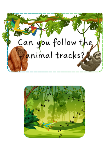 Jungle Animals - Animal tracks