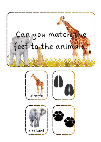 Savannah Animals - Footprints