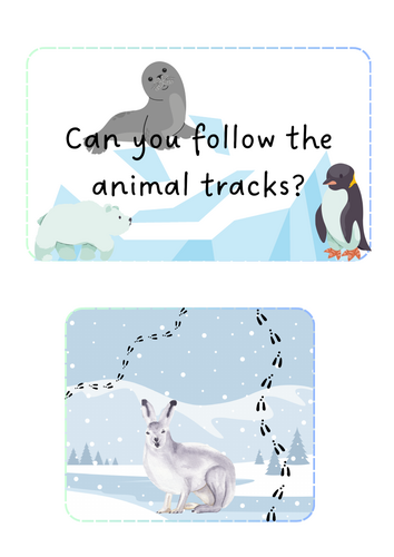 Arctic Animals - Animal tracks