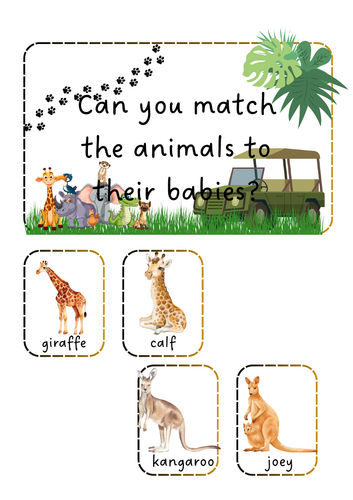 Animals - Animal Babies