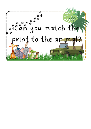 Animals - Detectives