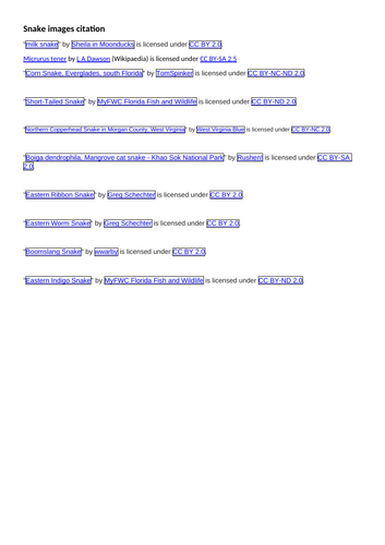 docx, 21.84 KB