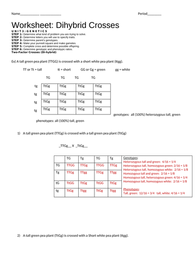 docx, 27.99 KB