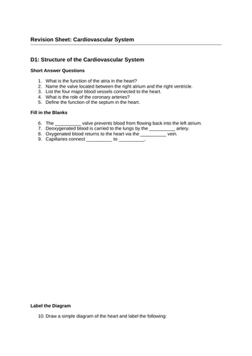 docx, 331.56 KB