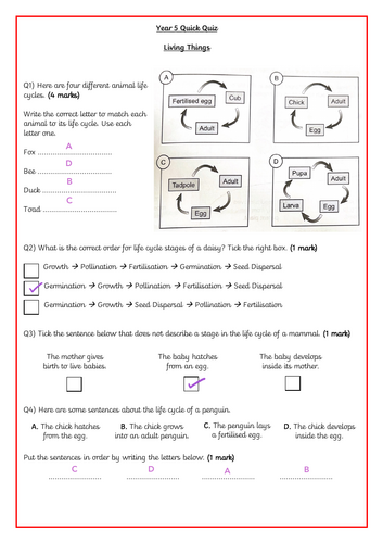 pdf, 2.58 MB