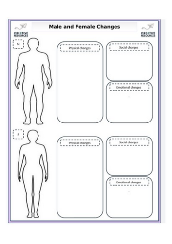 docx, 620.05 KB