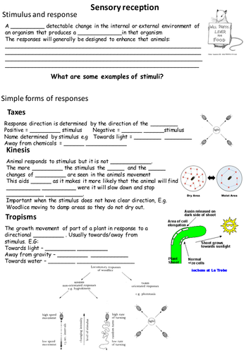 AQA A-level biology 3.6.1 Stimuli and response Whole topic | Teaching ...