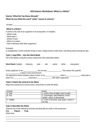 docx, 34.68 KB