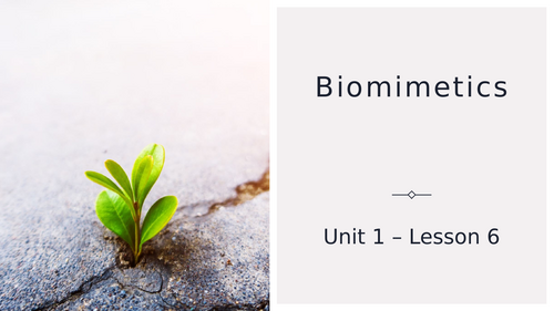 Environmental science lesson 6 Biomimicry