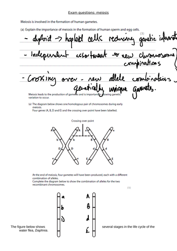 AQA A-level biology 3.4.3 Genetic diversity 3.4.4 Genetic diversity ...
