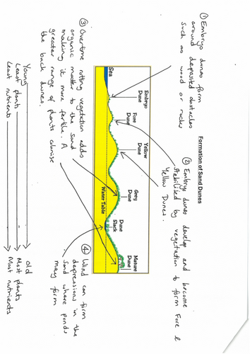 pdf, 512.53 KB