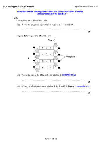 pdf, 1.71 MB
