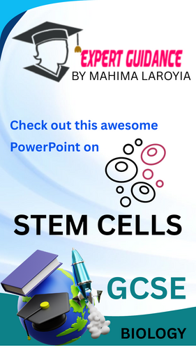 pdf, 2.52 MB