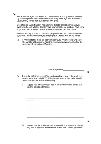 Gene expression exam questions bundles
