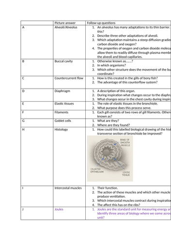 docx, 140.75 KB