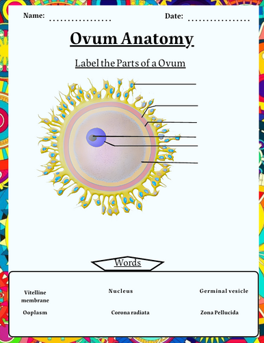 pdf, 6.72 MB