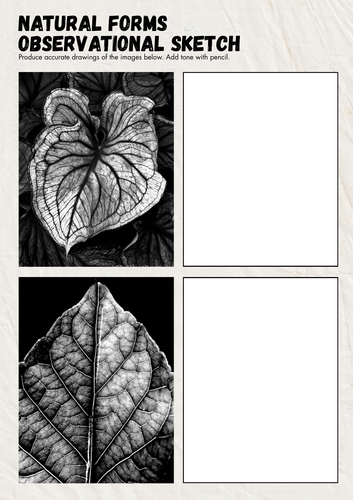 pdf, 3.68 MB