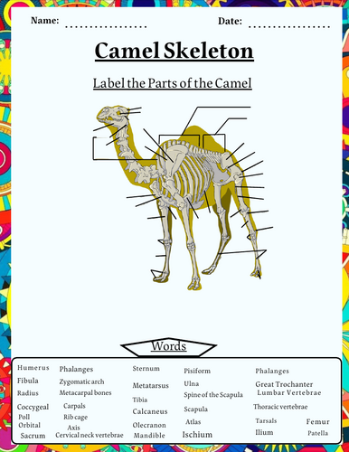 pdf, 6.92 MB