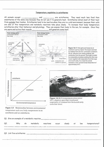 pdf, 2.58 MB