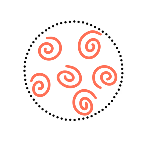 png, 423.46 KB