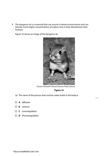 pdf, 216.85 KB